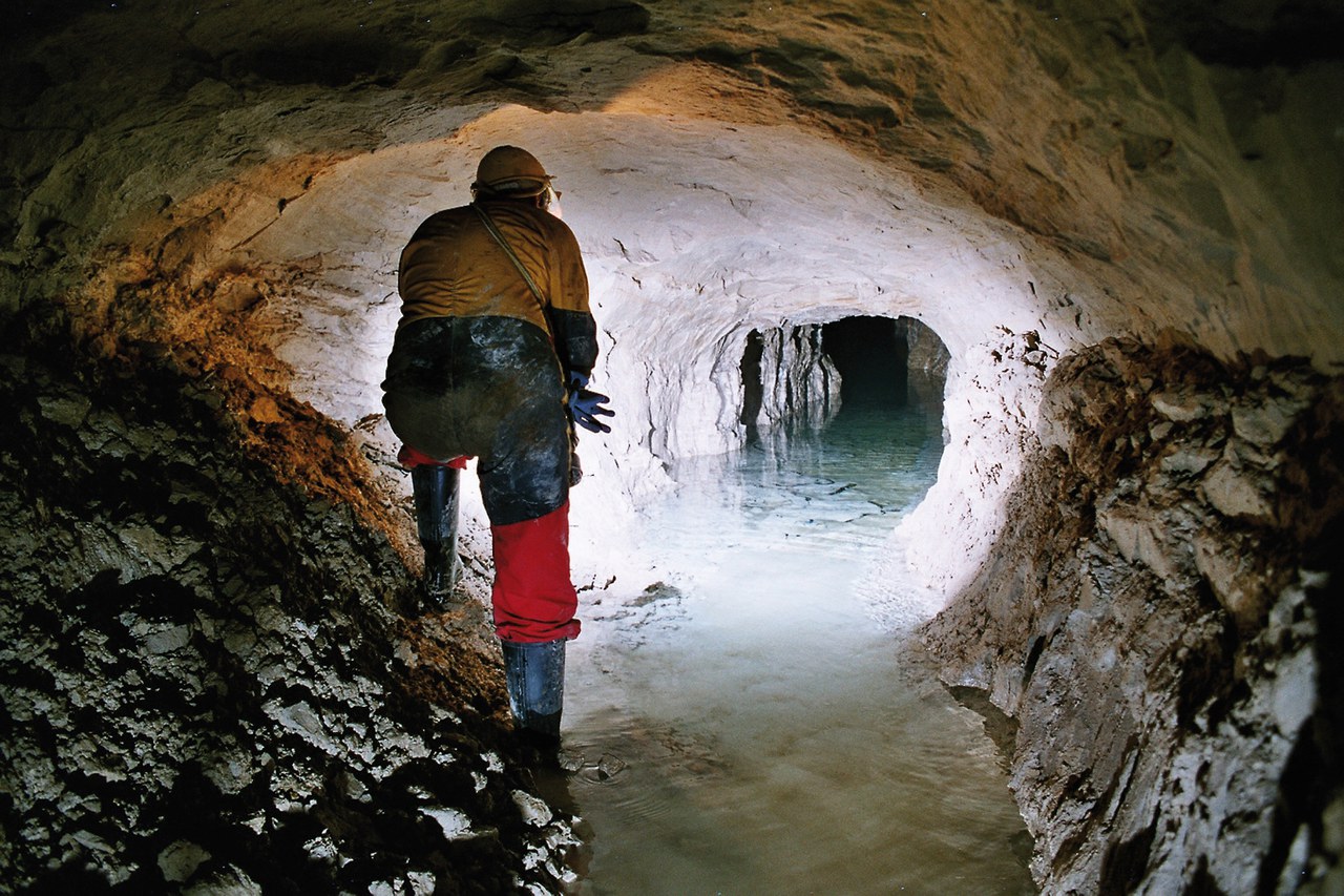 Nachhaltigkeitserhebung