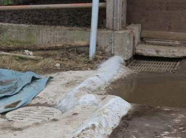 Vorplatz eines Stalles mit Wasserlachen