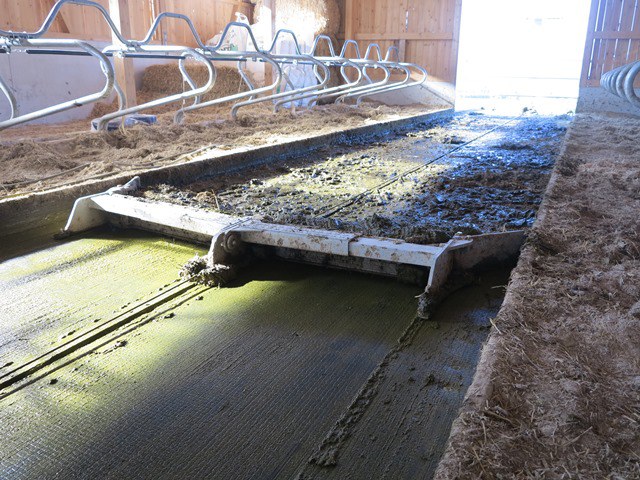 Quelle: Agrofutura - Mistschieber in Laufstall