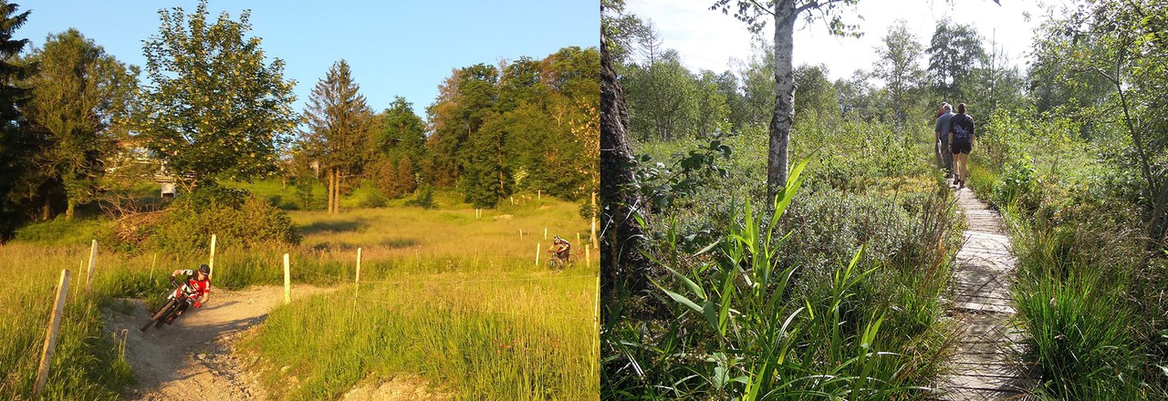 Besucherlenkung: Trail und Moorwanderweg