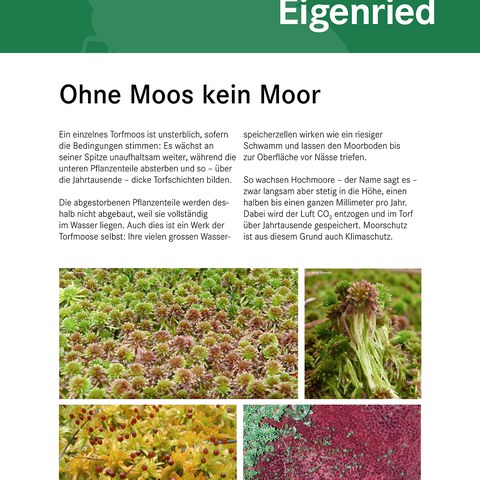ohne_moos_kein_moor.jpg