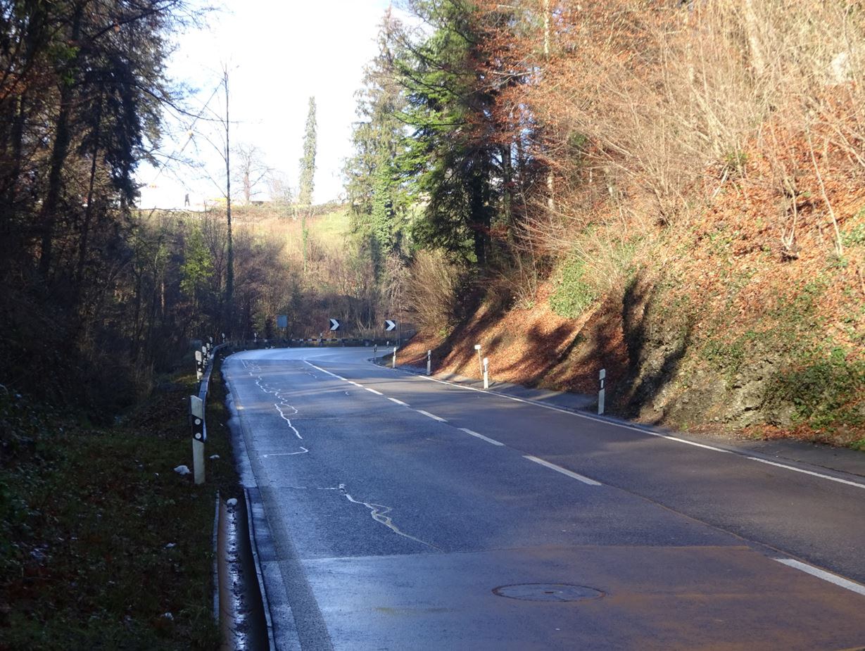 Blickensdorferstrasse Baar