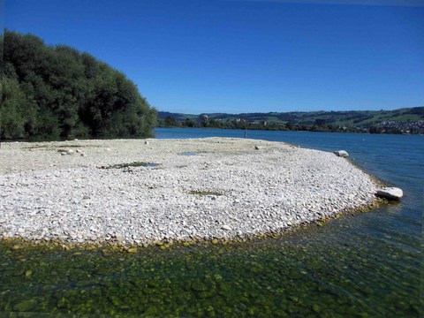 Kiesinsel im August 2012
