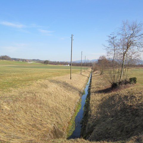 Oberer Tobelbach-Abschnitt; links des Baches kommt der Bibersee zu stehen