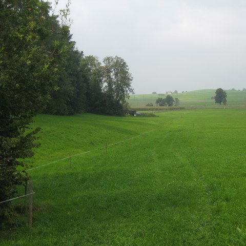 Projektgebiet für die Ausdolung des Dürrbachs