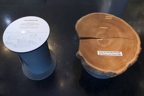 © Res Eichenbeger, Museum für Urgeschichte(n)