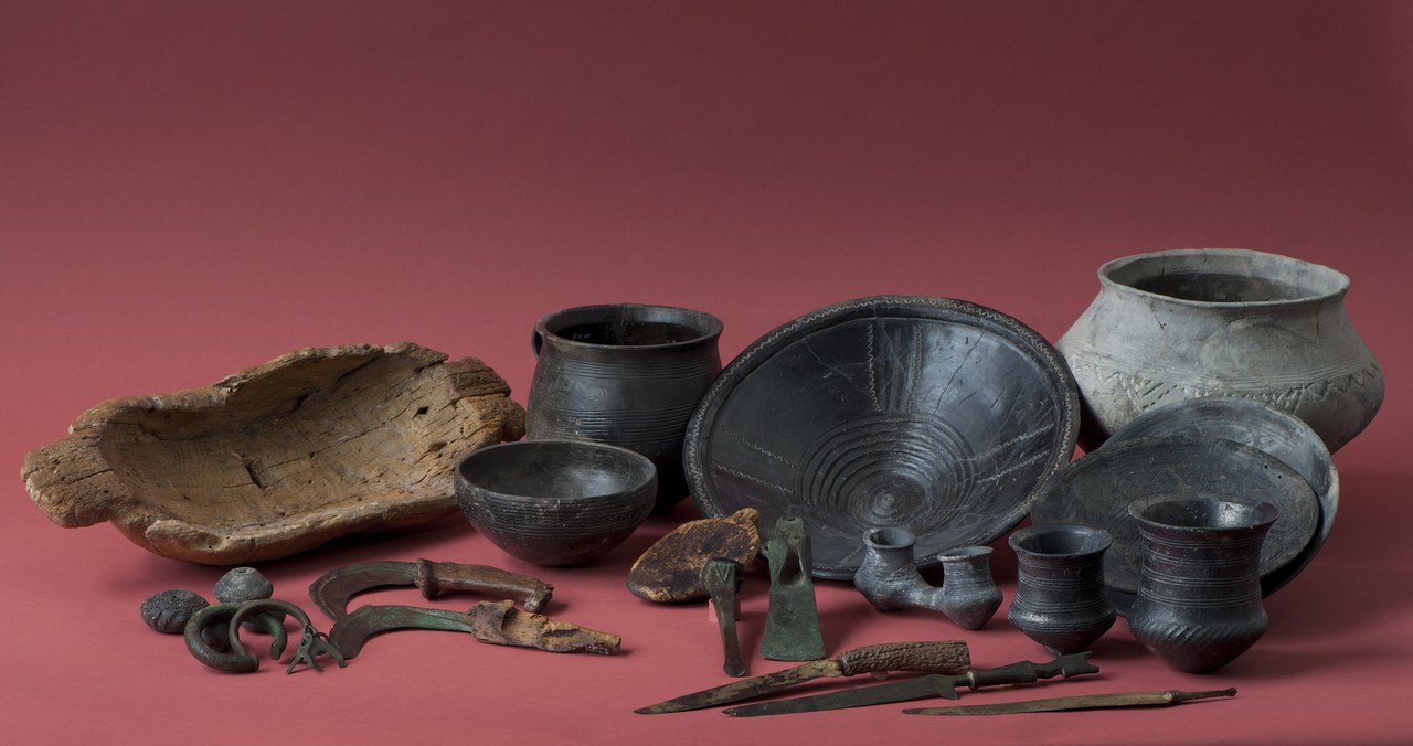 Bild Funde Zug-Sumpf