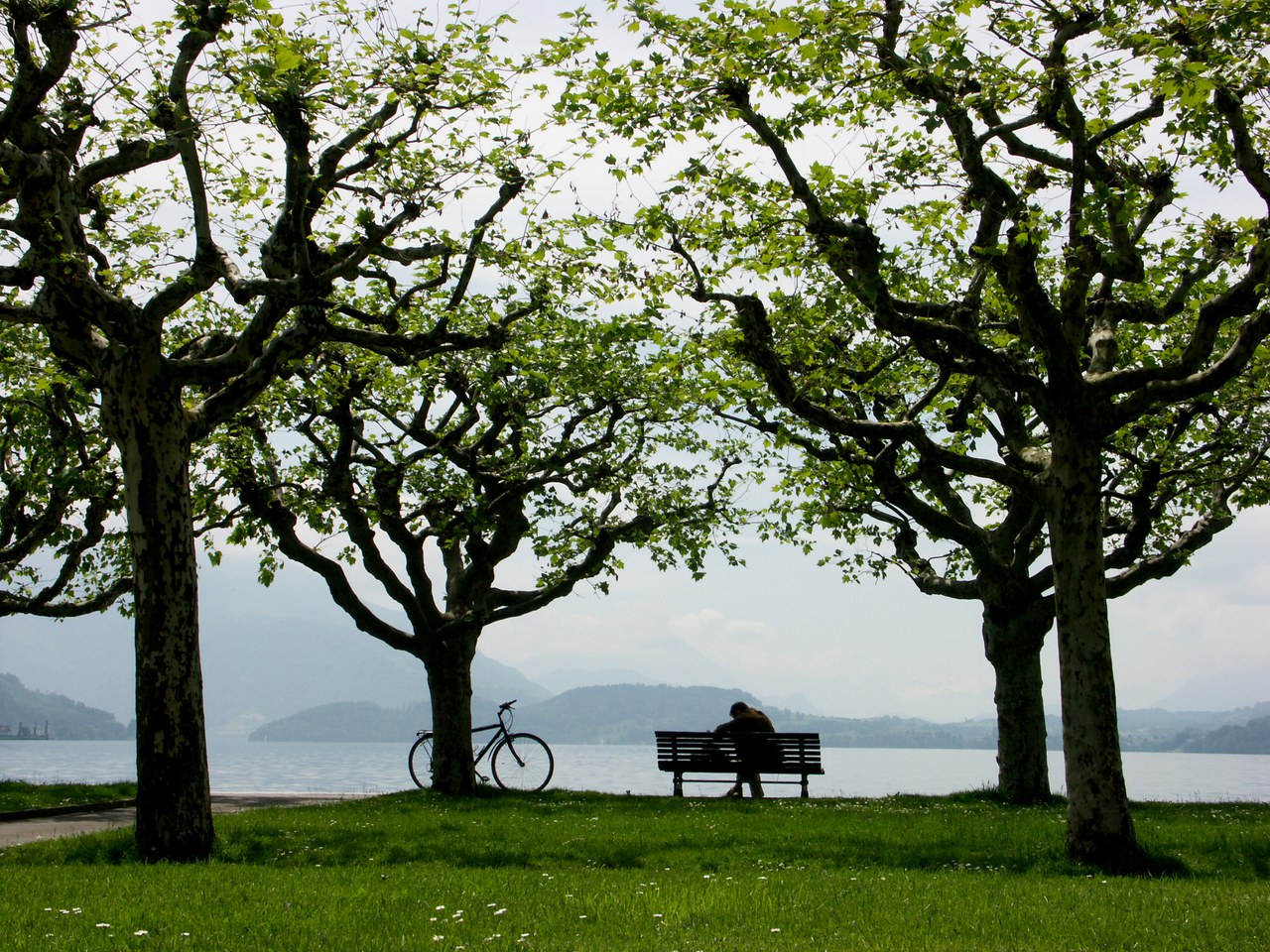 Foto 2 Fachpodium Sehnsucht Freiraum im Kanton Zug