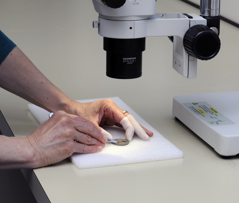 Fundbearbeitung am Mikroskop