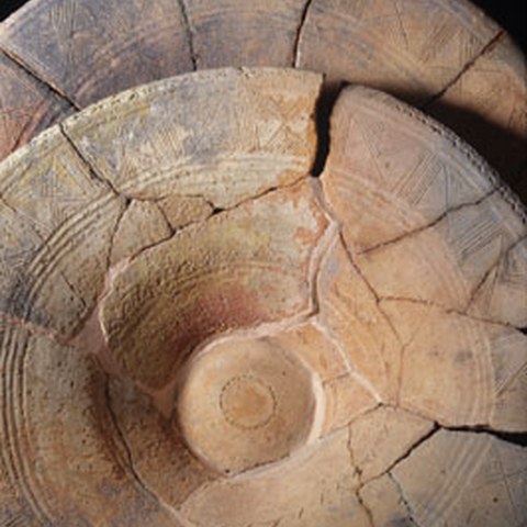 Zug Sumpf, Grabung 1952-54