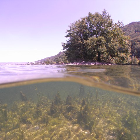 Zug Oterswil, Insel Eielen