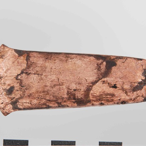 Zug Riedmatt, Grabung 2008