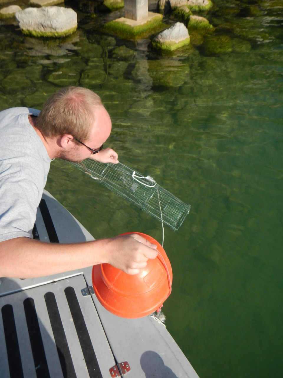 Foto 4: Projektleiter Pascal Vonlanthen setzt eine Reuse. Jungaale oder Krebse werden darin gefangen