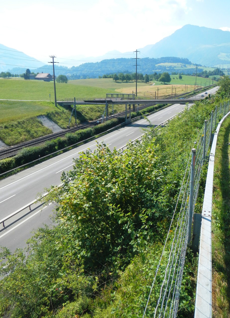 Foto Gebiet Brüglen