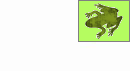 Abbildung eines Froschs