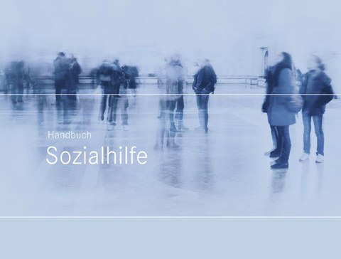Handbuch Sozialhilfe