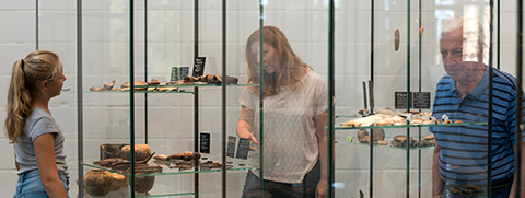 Kantonales Museum für Urgeschichte - Mit Publikum sozial distanziert