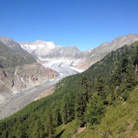 Aletschgletscher