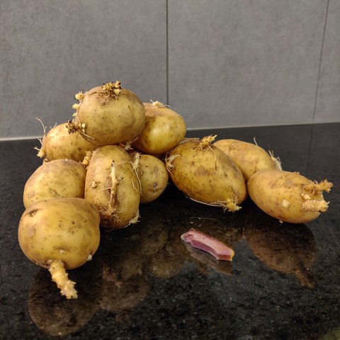 Produkt von Lukas und Lukas