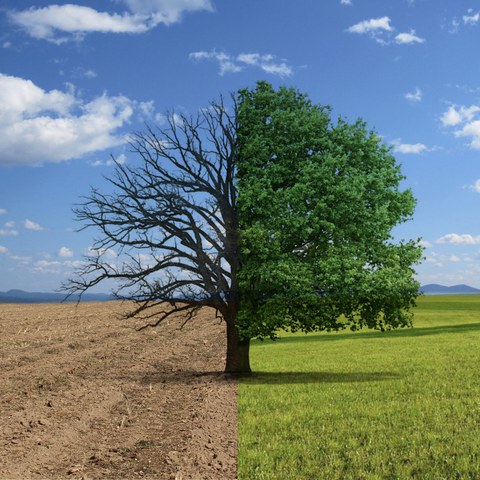 Produkt von Nouha und Mahdiya