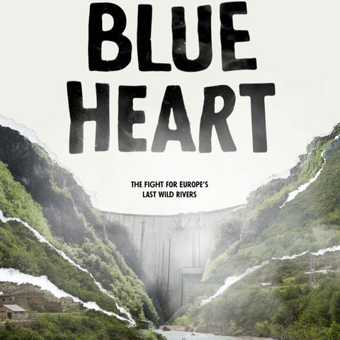 Blue Heart (Filmplakat)