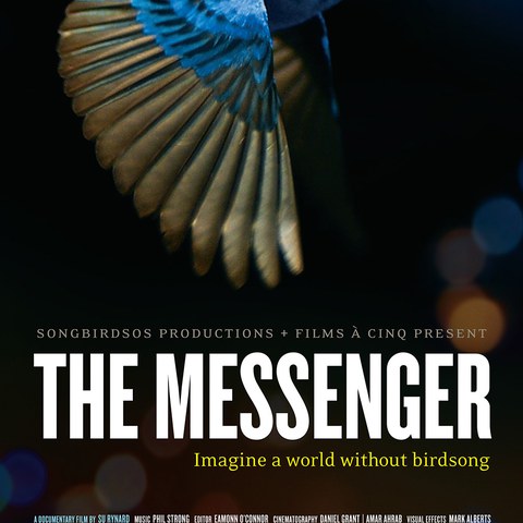 The Messenger (Filmplakat)