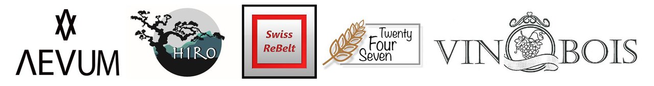 Logo WMS-StartUps 2015/16