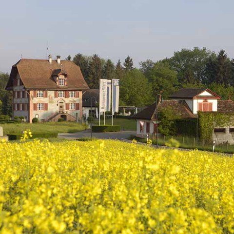 Wart, Photo andreasbusslinger.ch