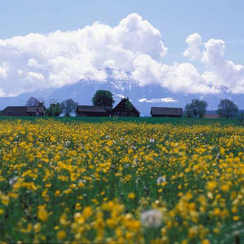 Hinterhünenberg, Photo andreasbusslinger.ch