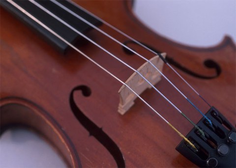 Bild Violine