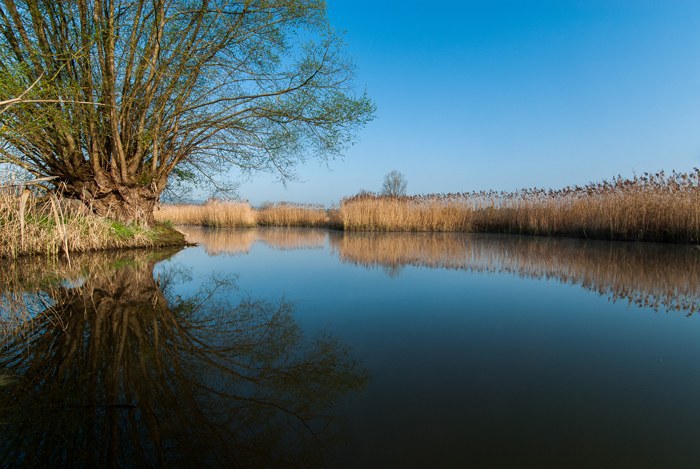 Bild: www.andreasbusslinger.ch