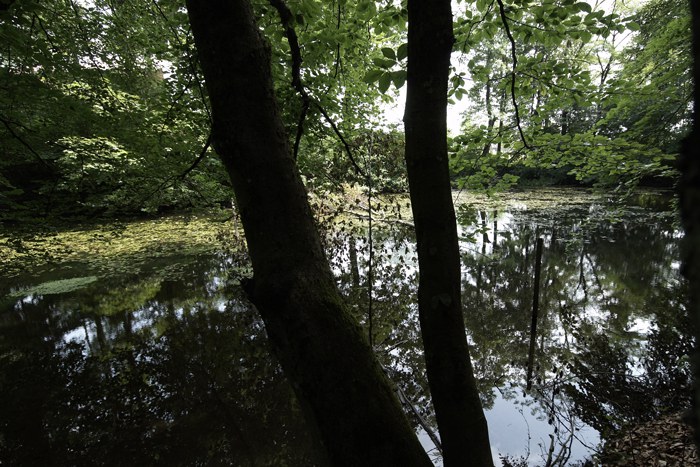 Copyright andreasbusslinger.ch