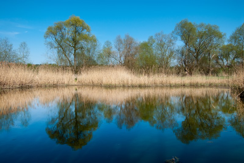 Copyright: andreasbusslinger.ch