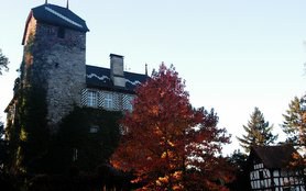 aktuelle Ansicht von Schloss Buonas