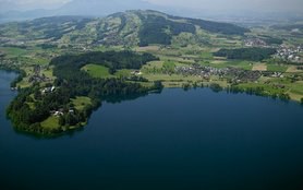 Luftaufnahme mit Blick auf Risch