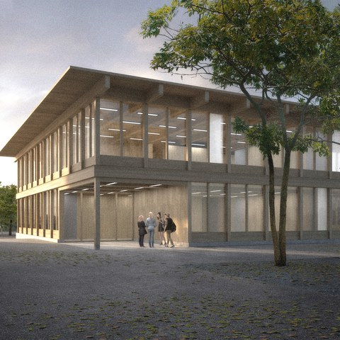 Visualisierung Neubau Waldeggstrasse (Projekt 