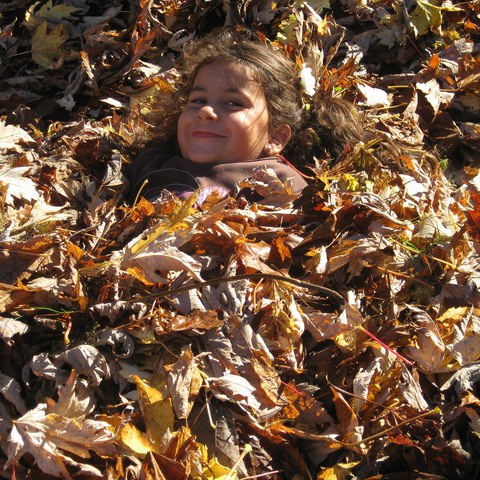 Spielen im Laub 1
