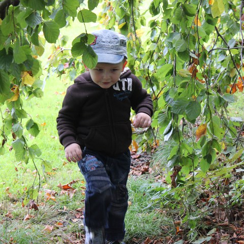 Spielen im Wald 2