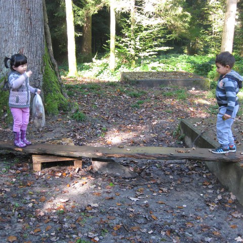 Balancieren im Wald.JPG