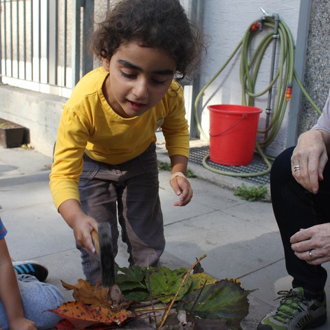 Naturkunstwerk 3.JPG