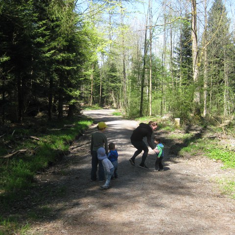 Waldspaziergang