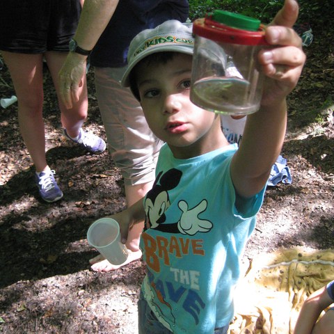 Kleintiere entdecken.JPG