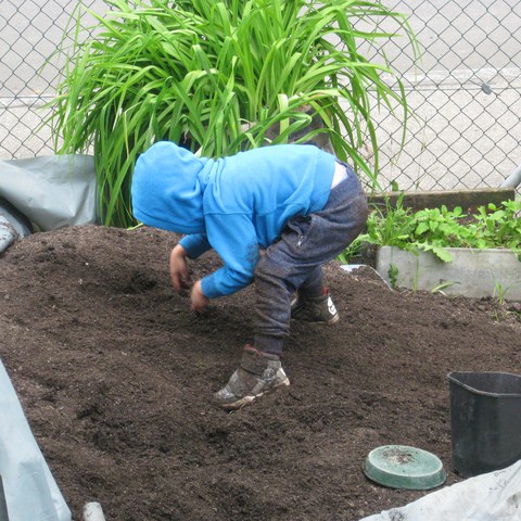 Graben in der Erde.JPG