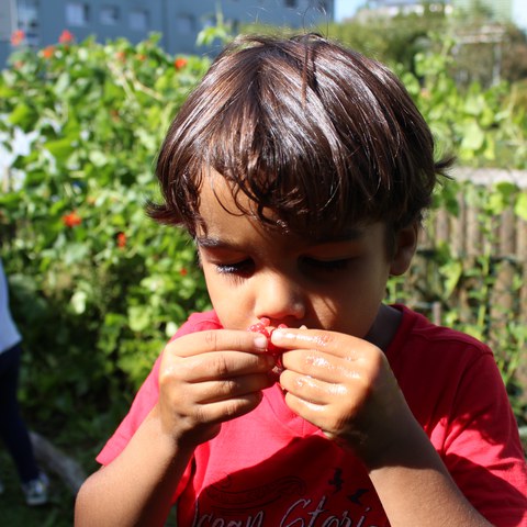 Himbeere probieren.JPG