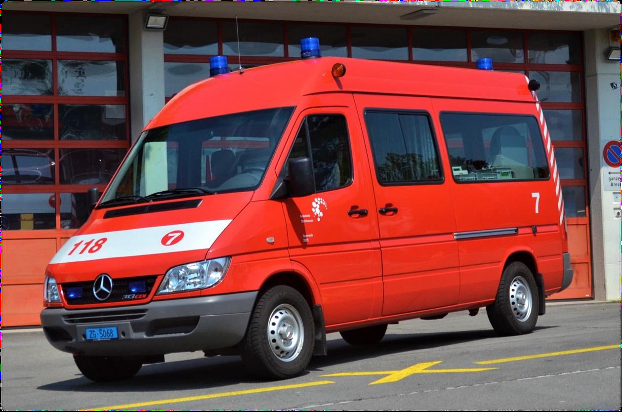 Verkehrsfahrzeug Steinbock 7