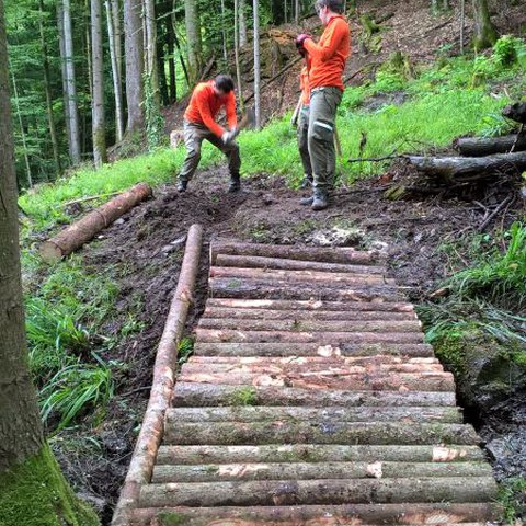 GA Pi u SAssist 1-16 (6)