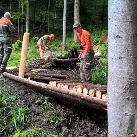 GA Pi u SAssist 1-16 (9)