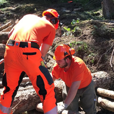 Arbeitsplatz Pi (03)