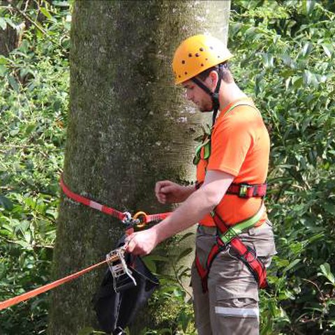 Absturzsicherung - Sicherung im steilen Gelände (1)