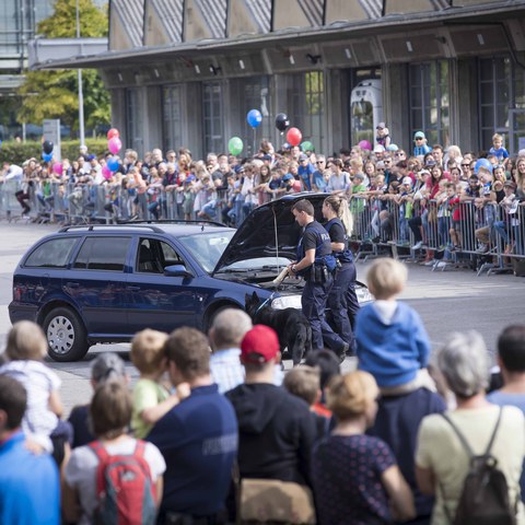 TdoT ZUPO (236 von 461).jpg